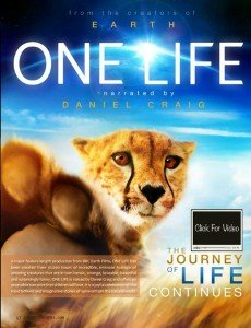 ONE LIFE